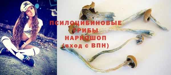 не бодяженный Абаза