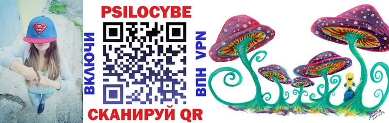 Галлюциногенные грибы Psilocybine cubensis  Балахна 